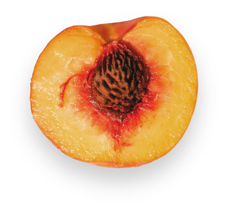 Longer-Lasting Peaches