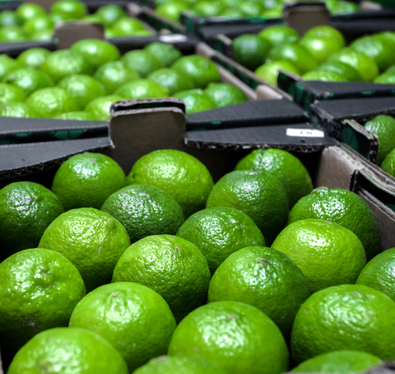 Lime Inset Image - 572 × 542 px Fresh bright green limes in a container