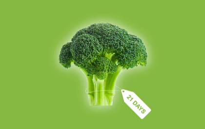 better-turgidity Better Turgidity