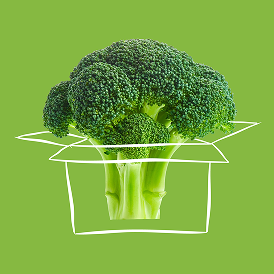 drier-boxes Broccoli crowns in a line drawing of a cardboard box