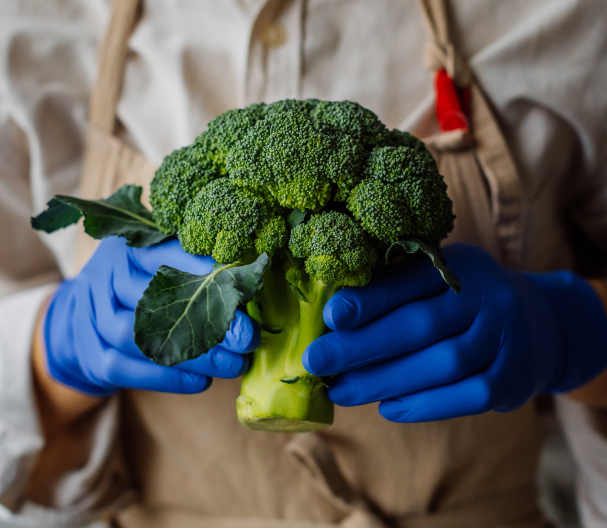 gloved-hands-holding-broccoli